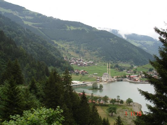 Uzungl