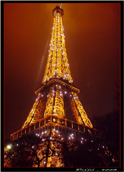 Eiffel Halleri 5