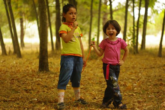 K�r �ark�c�lar�