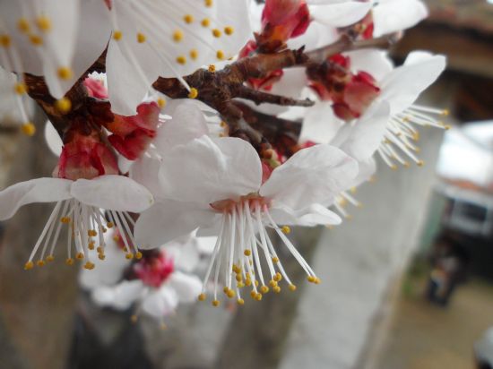 A�a� �i�e�i