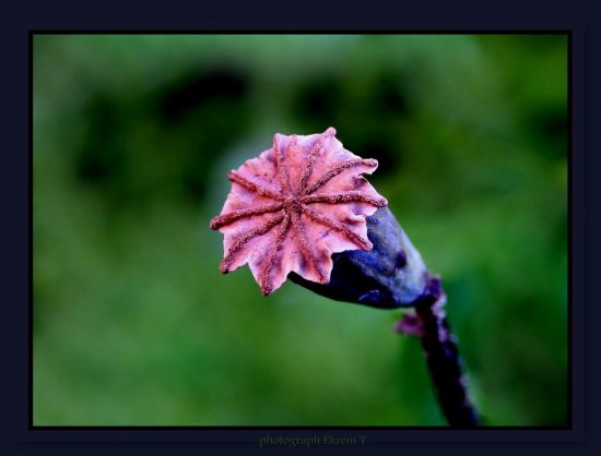 Mikrofon Sizde, Yoruma Ak !...