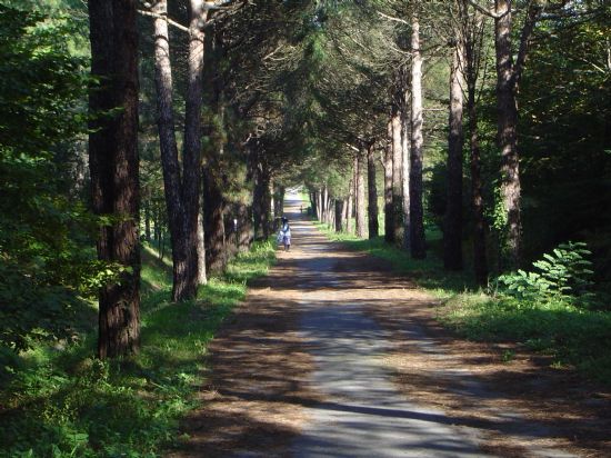 stanbulda Karadeniz Doas