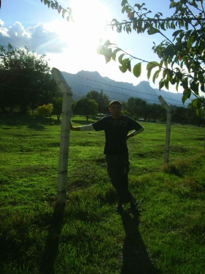 Ye�ille Dogan G�ne�