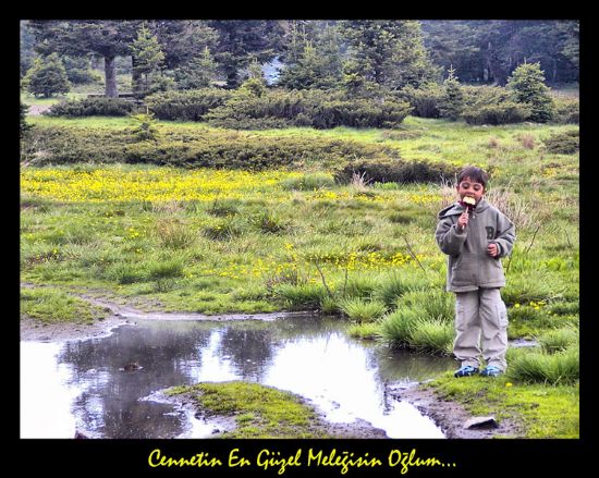 Cennetin En Gzel Meleisin Olum