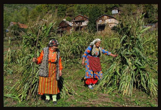 Kastamonu