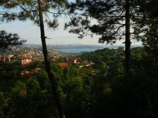 Beykoz Srtlarndan