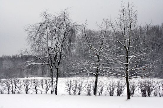 Arka Bahcemden Kis Manzarasi