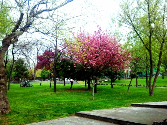 �stanbul ’a ”bahar” Gelmi�