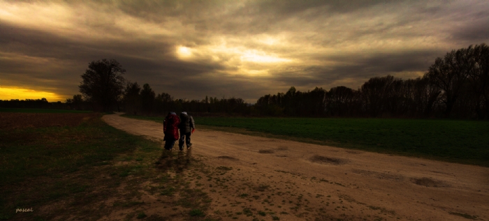 La Nuit Tombant / Andrzieux