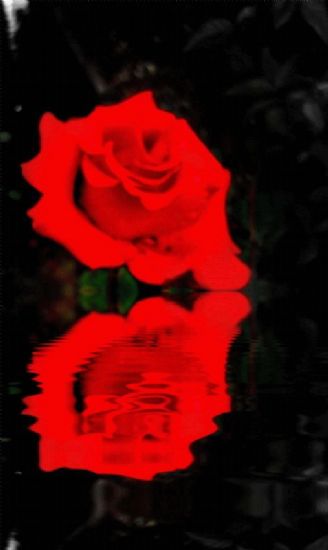 Gl Kokulu Peygamber (sav)