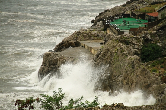 Zonguldak / Dalda Ve Falez