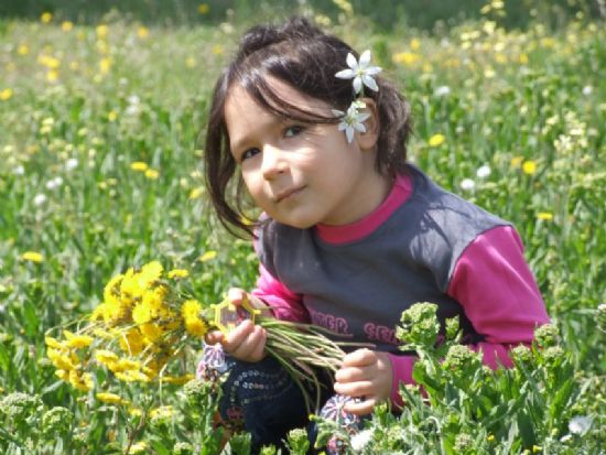 iekler ine Bir Gonca Gl