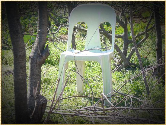 Yerin Hep Bo Mu Kalacak Byle.. ?