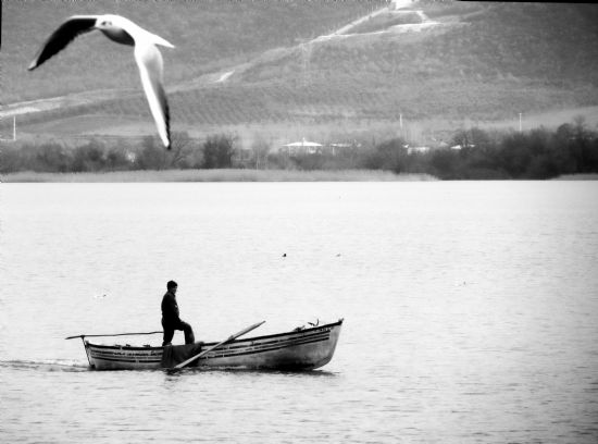 Gölyazı