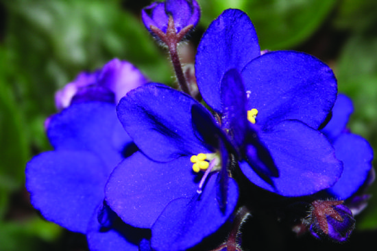 �lk Foto�raf�m