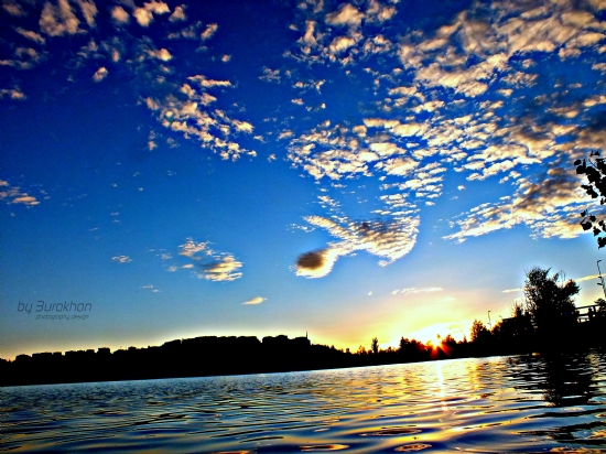 Mavi G�l G�n Bat�m�