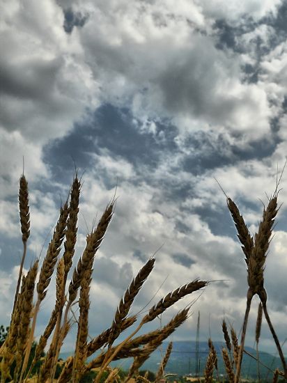 Ekmein zerine nen Kara Bulutlar - Hdr