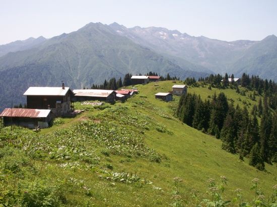 Pokut Yaylas