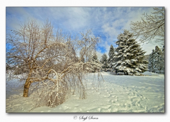 Her Yerde Kar Var .  .  .