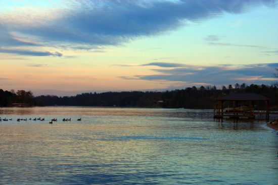 Lake Hickory And The Birds