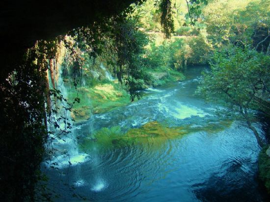 Dden elalesi, Antalya