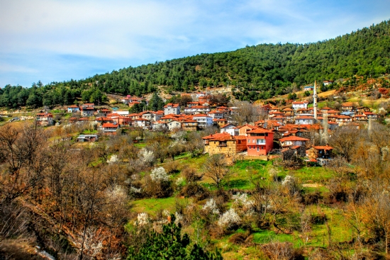 Bursa/orhaneli Topuk Ky