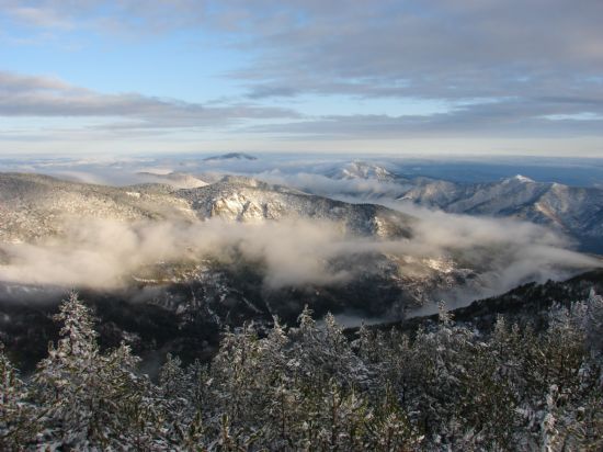 Taba Kulesi’nden...