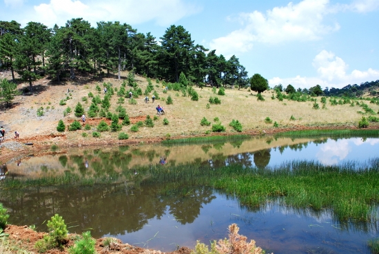 Yazr Yayla Gl, Acpayam