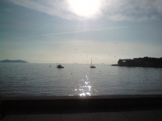 Baharda Deniz Manzaras�