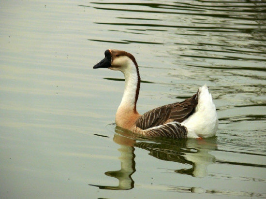 zmir Doal Yaam Park