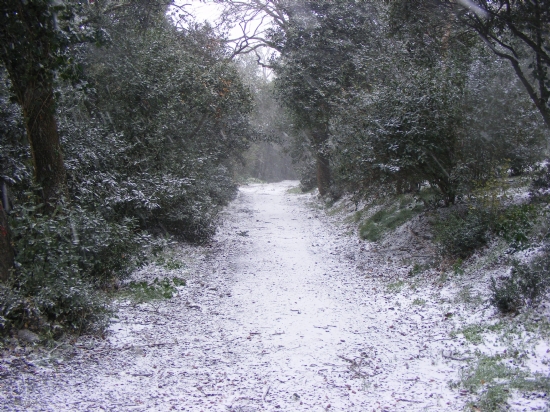 �stanbul’da Kar Manzaralar� 2015