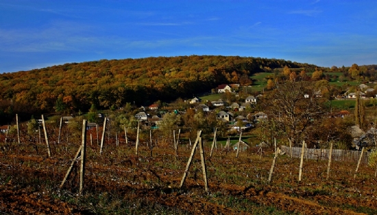 Moldova-sonbahar 2012