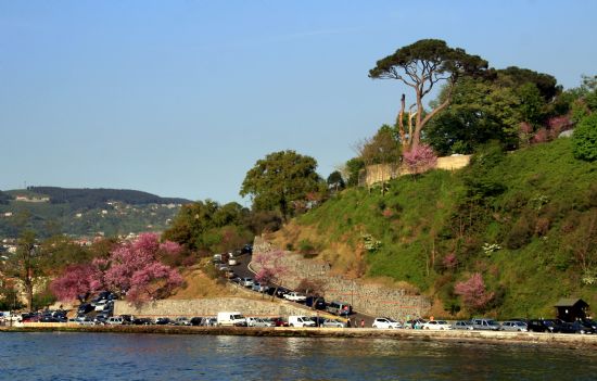 Beykoz Sahilleri