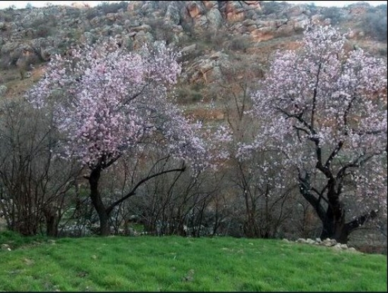 Mardin-ye�illi Manzaras�