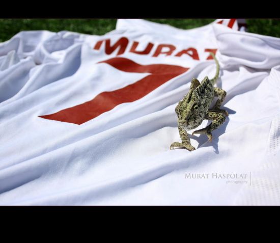 Murat 7