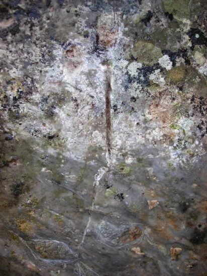 Eskilerin Yetenekleri