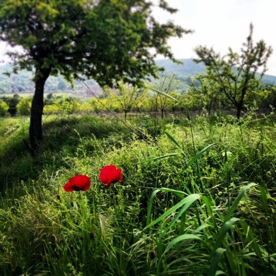 Farkedilebilmek...