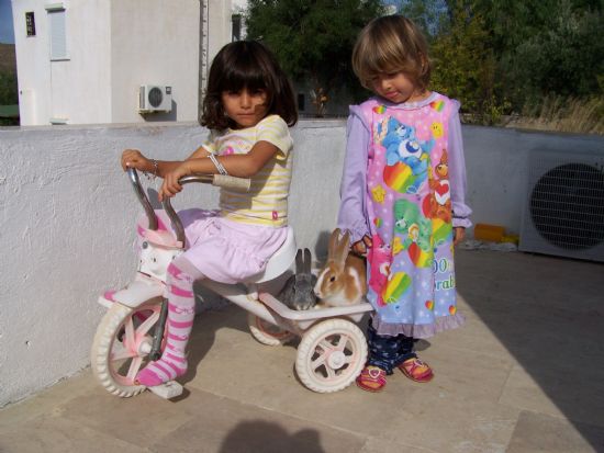 Y�k�m�z Ag�r