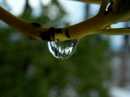 Bir Su Damlas Kadar...