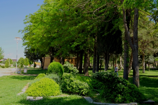 Park Saatleri