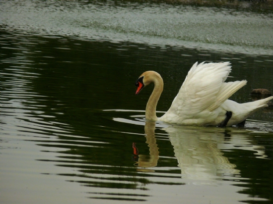 zmir Doal Yaam Park