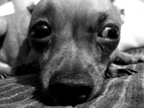 Biri Kalk Gidelim Diyor �teki...