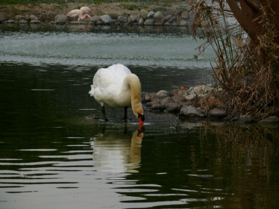 zmir Doal Yaam Park