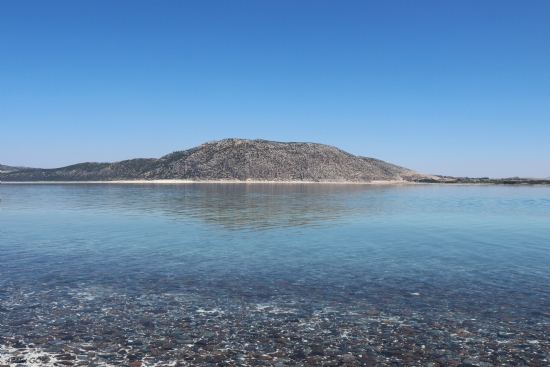 T�rkiye’nin En Berrak G�l�: Salda G�l�