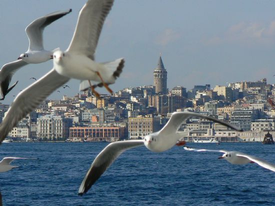 Galata Ve Matlar