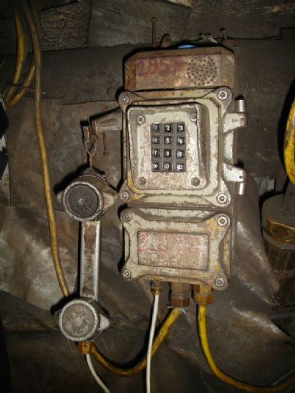 A S R I N    C A D I ...