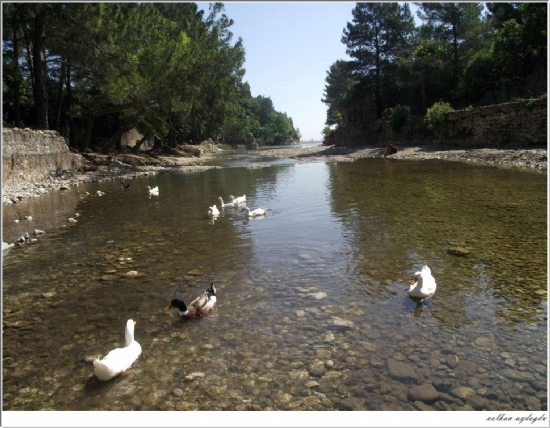 Olimpos Deresi