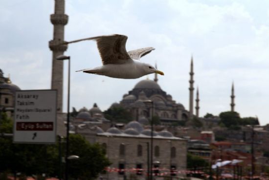 stanbul Kanatlarmn Altnda