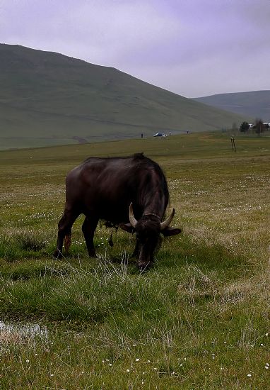 Tarih ncesi