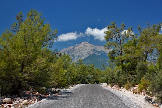 Tahtal Da Yolu Otobs ekimleri